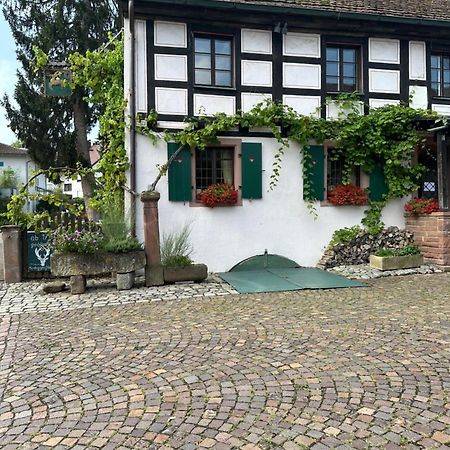 Exklusive Maisonette-Wohnung Am Rande Von Freiburg Merzhausen Exteriör bild