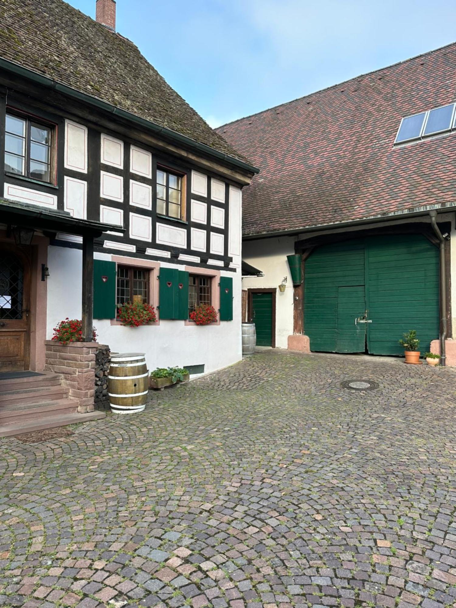 Exklusive Maisonette-Wohnung Am Rande Von Freiburg Merzhausen Exteriör bild